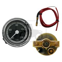 Indicator de temperatura 180020005047