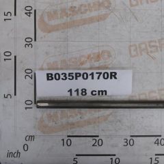 Maschio Gaspardo ALBERO INFALDATORE B035P0170R