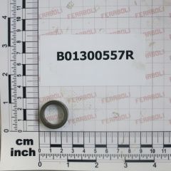Maschio Gaspardo RALLA 15 25 5 B01300557R