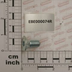 Maschio Gaspardo SURUB 12X25 TPSEI UNI 5933 EBE000074R