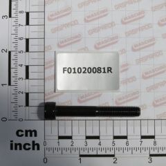 Maschio Gaspardo SURUB M 8X1,25X60 5737 12.9 BR F01020081R