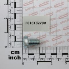 Maschio Gaspardo Surub M12x1.25x20 F01010279R