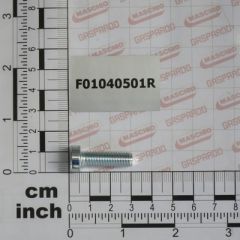 Maschio Gaspardo Surub M8x1.25x25 F01040501R