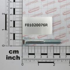 Maschio Gaspardo SURUB M8X1,25X55 U5737 10.9 BR F01020076R