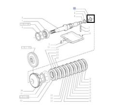 O-Ring 511212