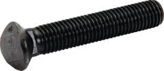 Şurub planetară M12x70